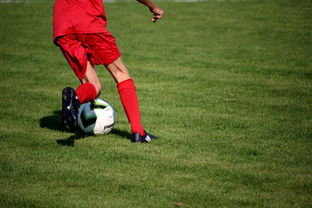 开云·体育全站登录地址-篮球运动员心理健康维护及干预体系,篮球心理训练