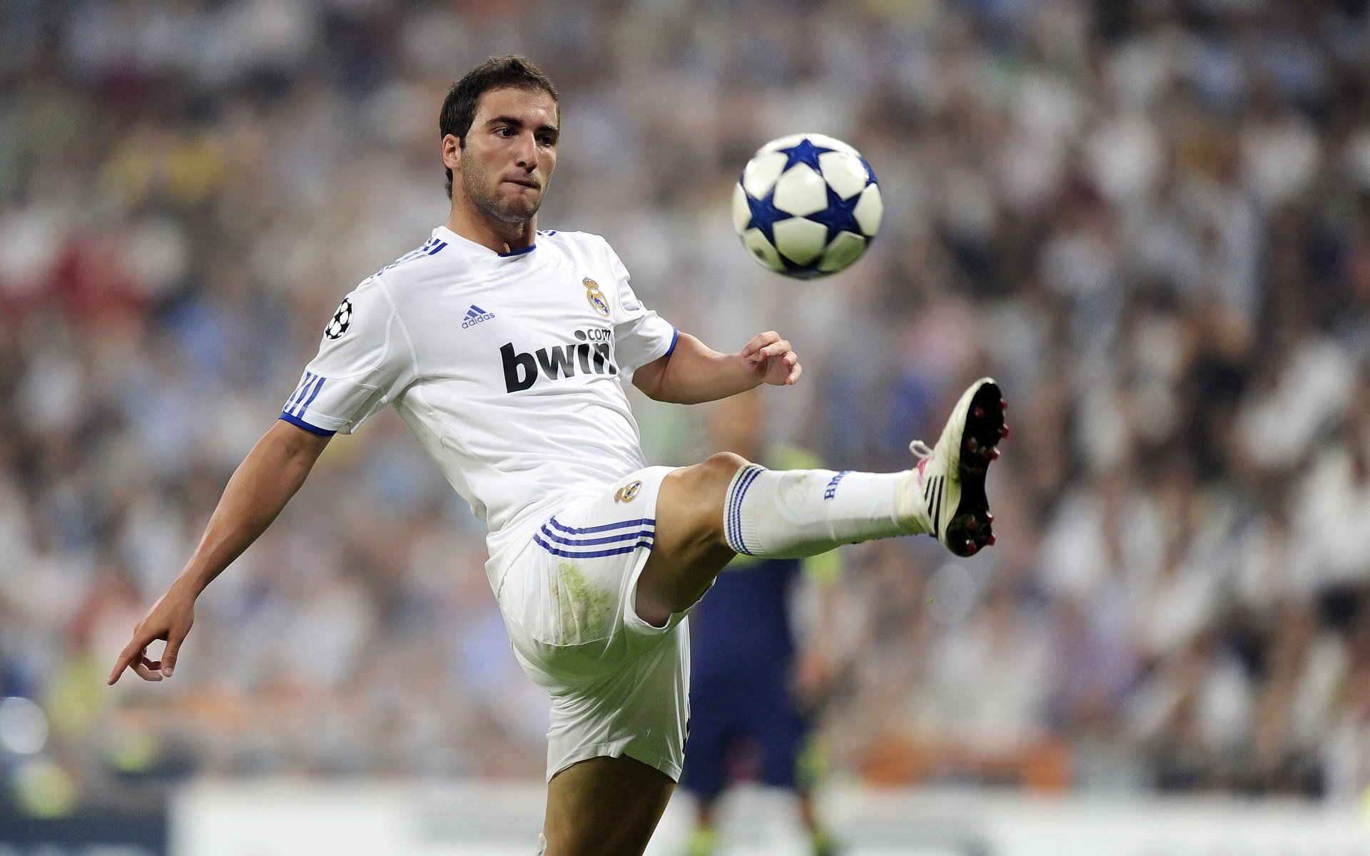 开云竞猜官网-“舞动梦想!金牛区城北体育馆上演世界级运动舞蹈大秀”