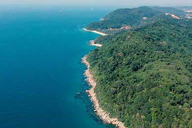 中国女排新任队长首秀惊艳全场，中国女排新任队长首秀惊艳全场是哪一年