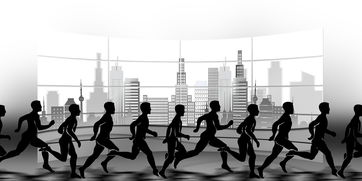 kaiyun.com-NBA球队赛事安全管理体系建设，nba球队管理系统数据库